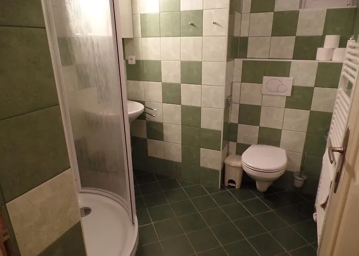 بيت ضيافة Fontana Poděbrady